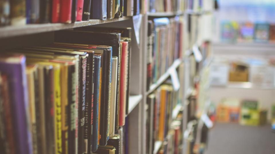 Rows of library shelves receding into soft focus